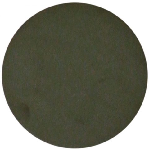 摇钱树娱乐(中国区)有限公司官网